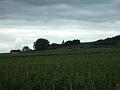 2010-05- (99)